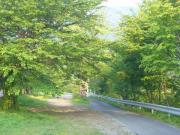 080429池田4
