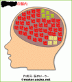 070830私の脳内