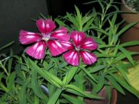 20100105234545