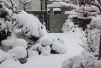 110116 雪33