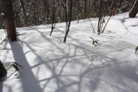 DPP_120212_007.jpg