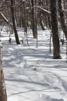 DPP_120212_009.jpg