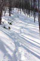 DPP_120212_017.jpg