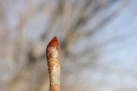 DPP_120212_019.jpg