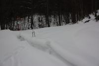 DPP_120213_001.jpg