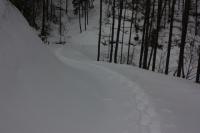 DPP_120213_002.jpg