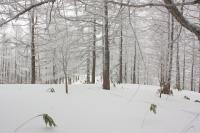DPP_120226_007.jpg