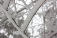 DPP_120226_010.jpg