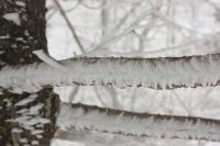 DPP_120226_011.jpg