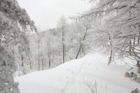DPP_120226_017.jpg