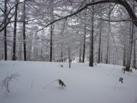 DSC_0558.jpg