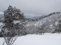 DSC_0560.jpg