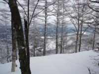 DSC_0561.jpg