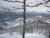 DSC_0562.jpg